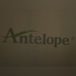 Antelope Wedges size 7.5 (38)